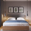 [Unique Modern Chandeliers And Pendants Online]-My Lighting Home